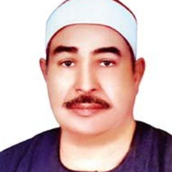 محمد محمود الطبلاوي